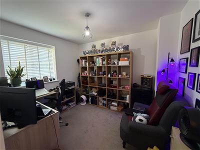 Picture 15